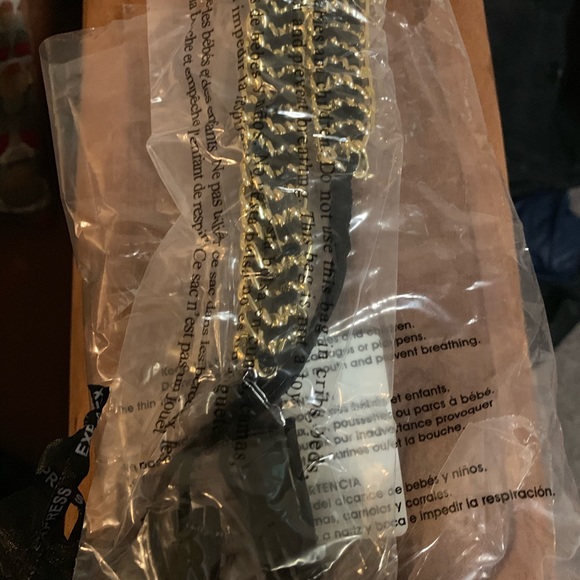 Express Tassel Chain Belt - Picture 5 of 5